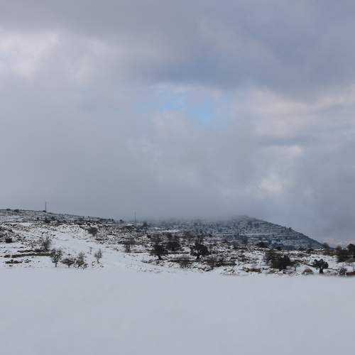 Photo #7120905