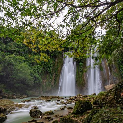 Photo #7121020