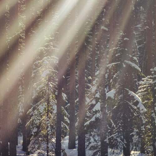 Photo #7121140