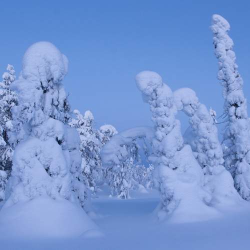 Photo #7121297