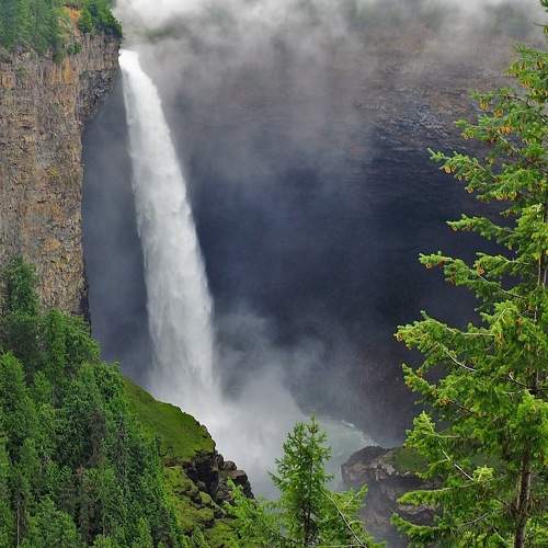 Photo #7121510
