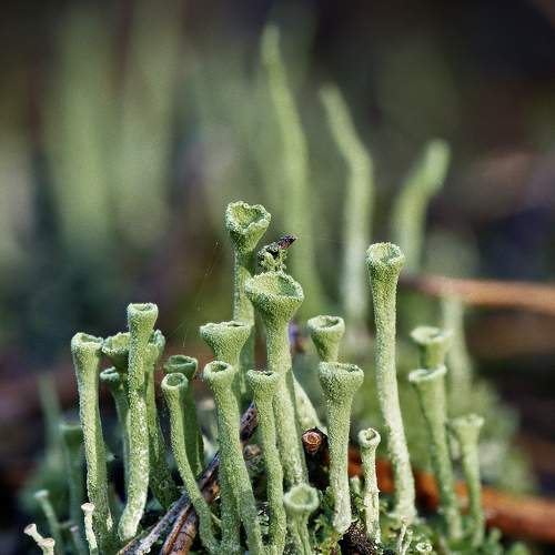 Photo #7122307