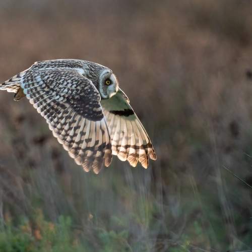 Photo #7122476