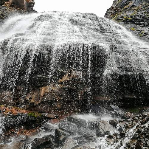 Photo #7122860