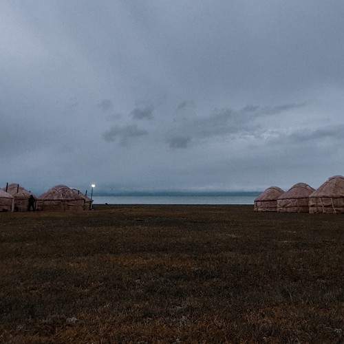 Photo #7123170