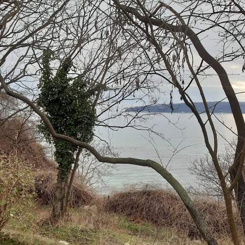 Photo #7123247
