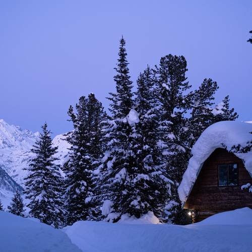 Photo #7123394