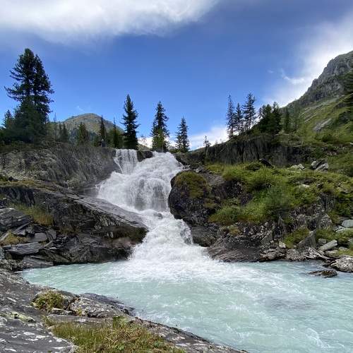 Photo #7123417