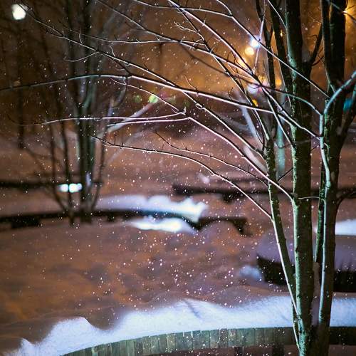 Photo #7123547