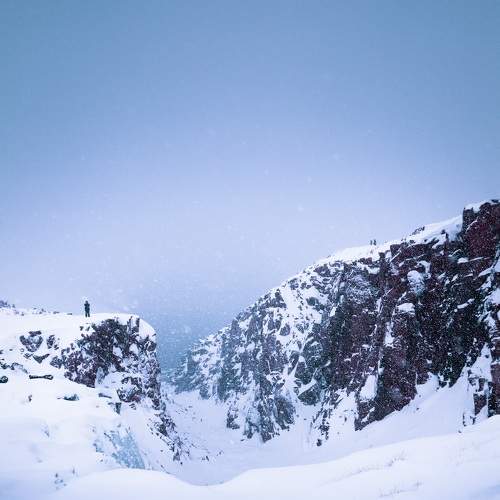 Photo #7124012