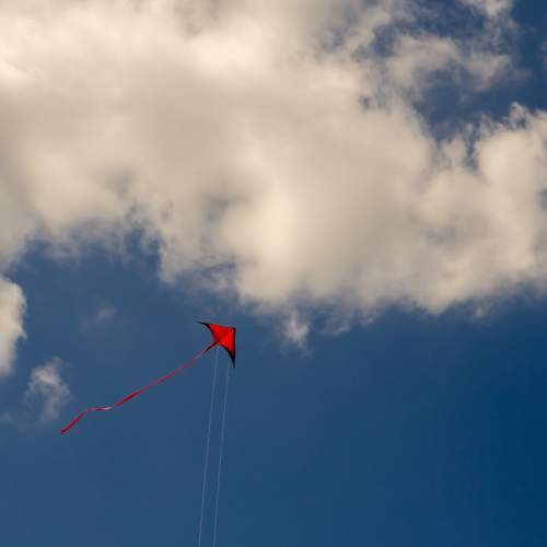 Photo #7124013
