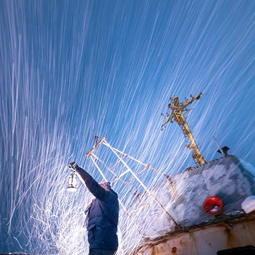 Photo #7124032