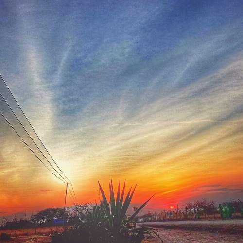 Photo #7124172