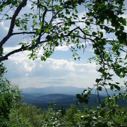 Photo #7124318