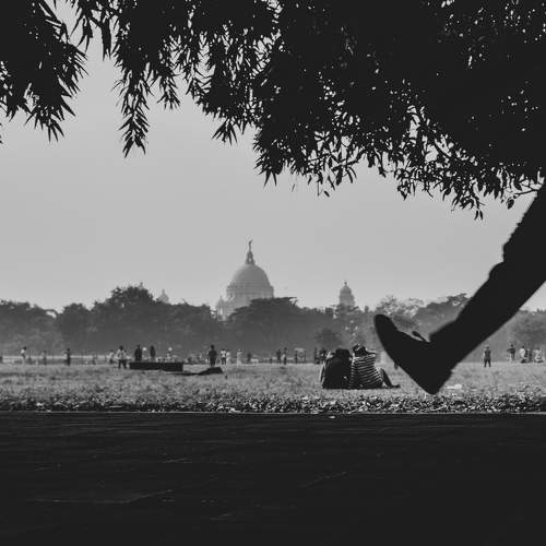 Photo #7124333