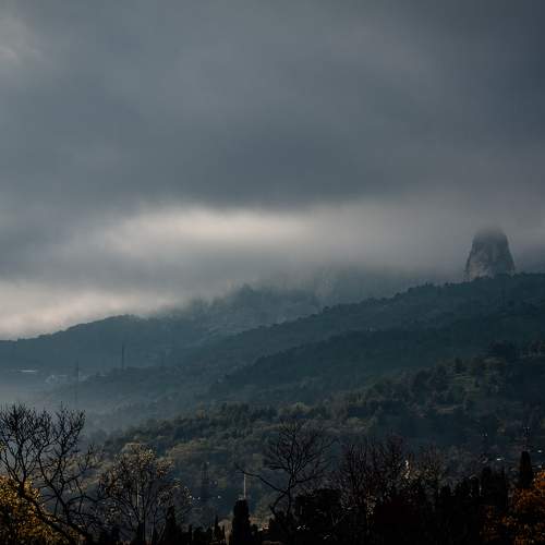 Photo #7124602