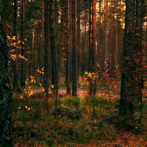 Photo #7124858