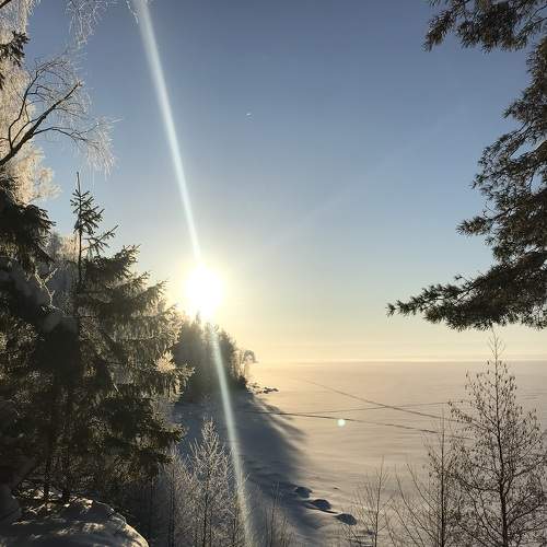 Photo #7124860