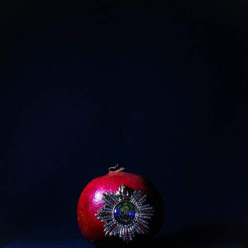 Photo #7124868