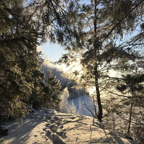 Photo #7124879
