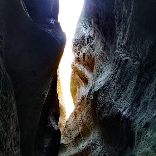 Photo #7124893