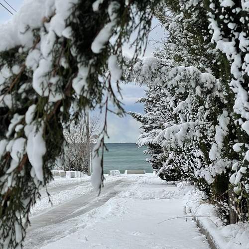 Photo #7124968