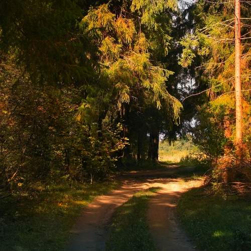 Photo #7125556
