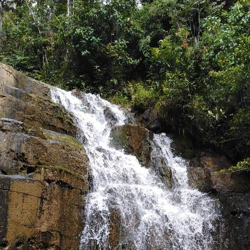 Photo #7125715