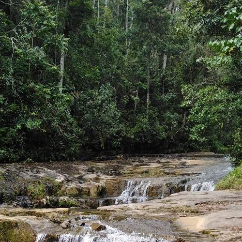 Photo #7125765
