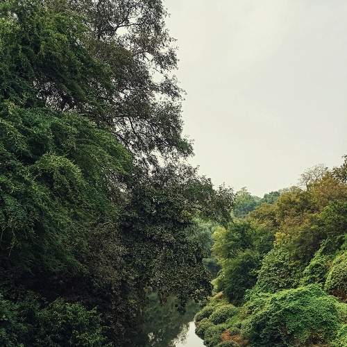 Photo #7125897