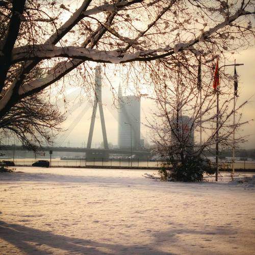 Photo #7125991