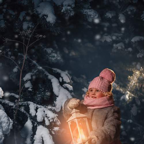 Photo #7126017