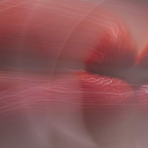 Photo #7126608