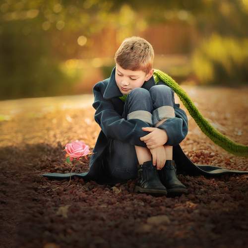 Photo #7126771