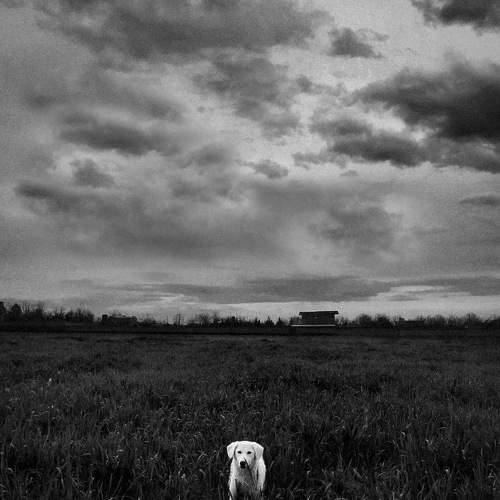 Photo #7126791