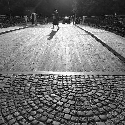 Photo #7126879