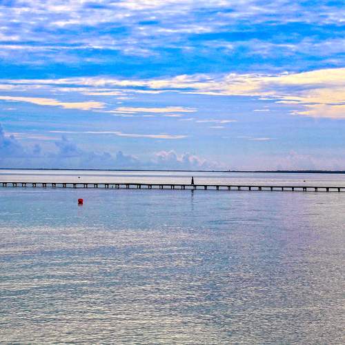 Photo #7126995