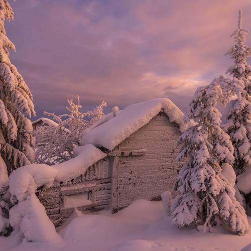 У леса на опушке ...