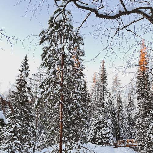Photo #7127337