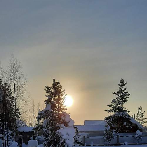 Photo #7127652