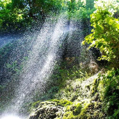 Photo #7127774
