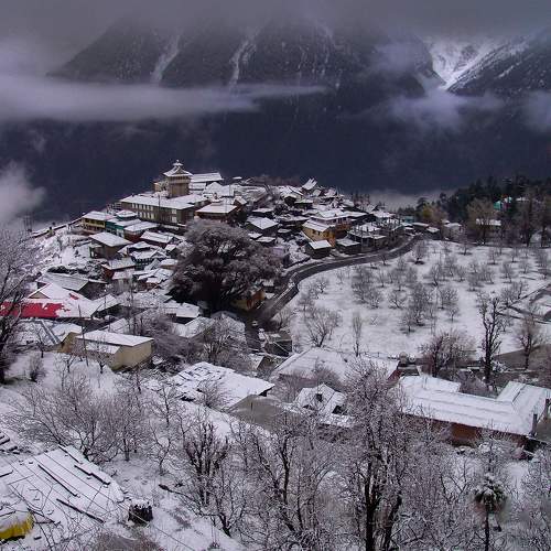 Photo #7128099