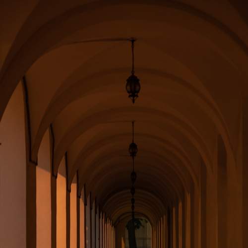 Photo #7128145