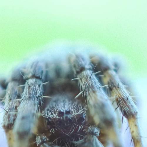 Photo #7128178