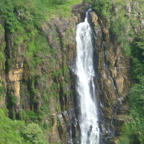 The Earth\'s White Veil