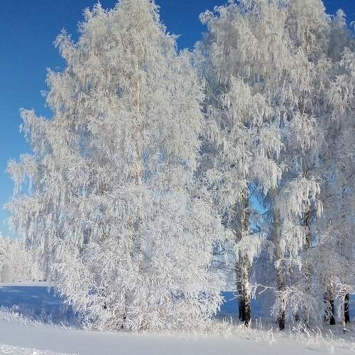 Photo #7128618