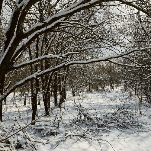 Photo #7128683