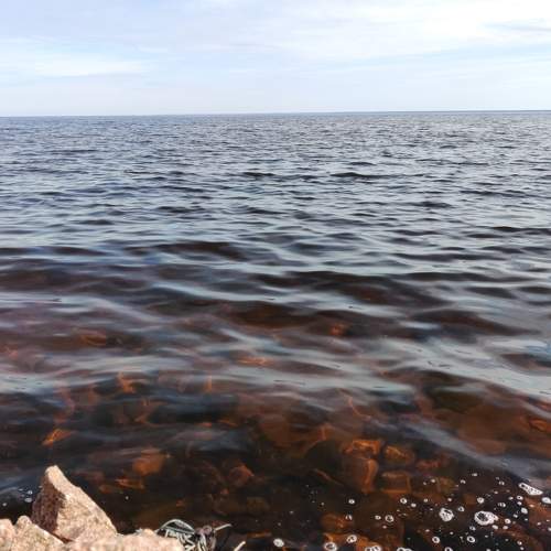 Photo #7128891