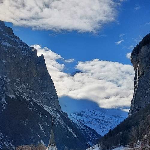 Photo #7129029