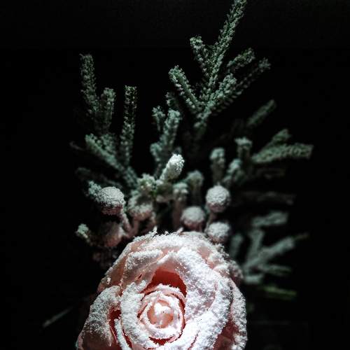 Photo #7129156